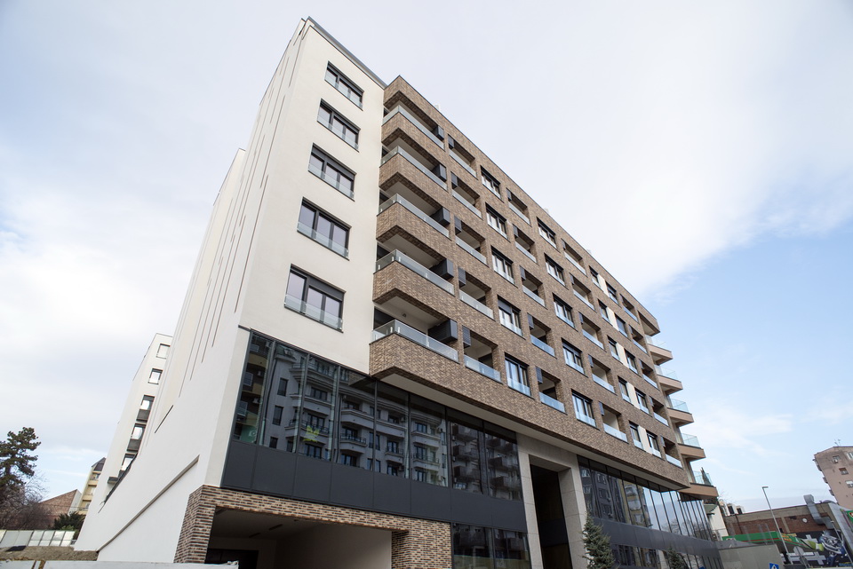 New South | Dabsinel